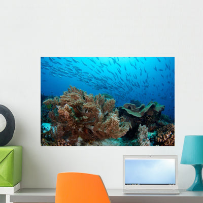 Jack Fish Swimming over Wall Decal shown on a wall