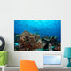 Jack Fish Swimming over Wall Decal
