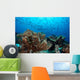 Jack Fish Swimming over Wall Decal