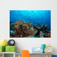 Jack Fish Swimming over Wall Decal
