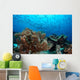 Jack Fish Swimming over Wall Decal