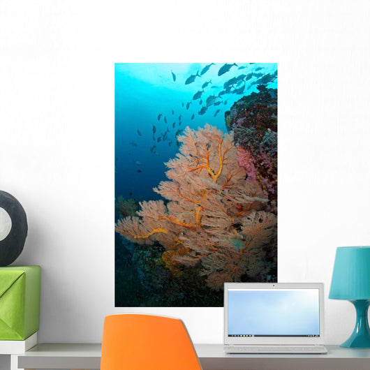 School Jack Fish Similan Wall Decal