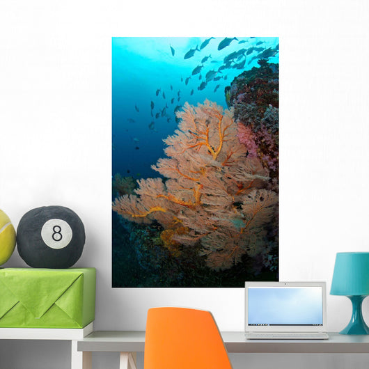School Jack Fish Similan Wall Decal