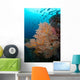 School Jack Fish Similan Wall Decal