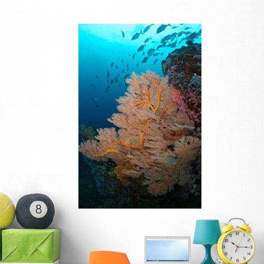 School Jack Fish Similan Wall Decal