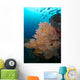 School Jack Fish Similan Wall Decal
