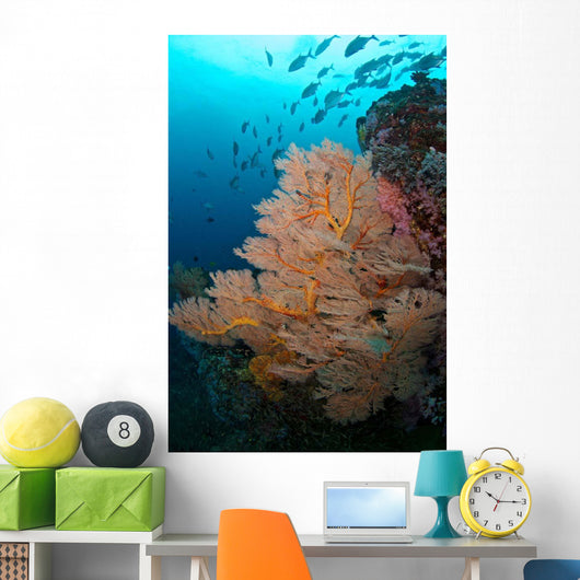 School Jack Fish Similan Wall Decal
