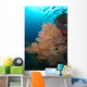 School Jack Fish Similan Wall Decal