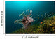 Lionfish Reef Dauin Philippines Wall Decal