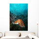Pharaoh Cuttlefish Healthy Reef Wall Decal