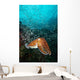 Pharaoh Cuttlefish Healthy Reef Wall Decal