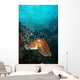 Pharaoh Cuttlefish Healthy Reef Wall Decal