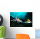 Two Pharaoh Cuttlefish Fighting Wall Decal
