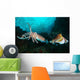 Two Pharaoh Cuttlefish Fighting Wall Decal