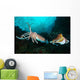 Two Pharaoh Cuttlefish Fighting Wall Decal