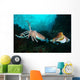 Two Pharaoh Cuttlefish Fighting Wall Decal