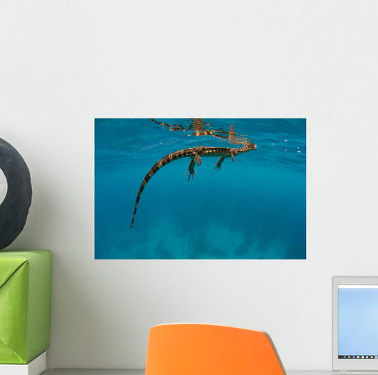 Water Monitor Swimming Sogod Wall Decal Design 2