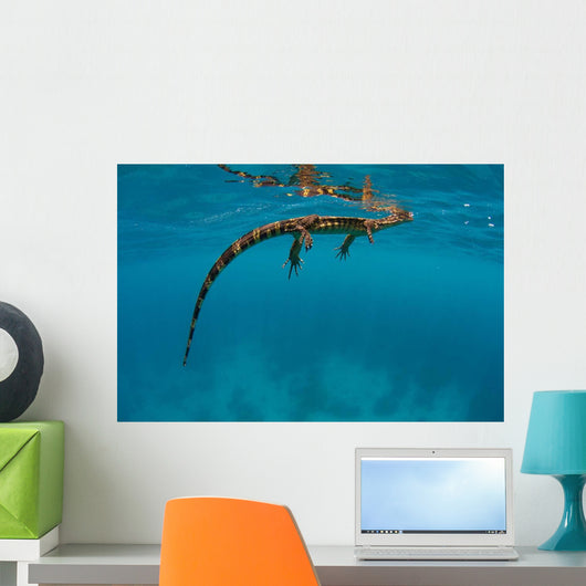 Water Monitor Swimming Sogod Wall Decal Design 2