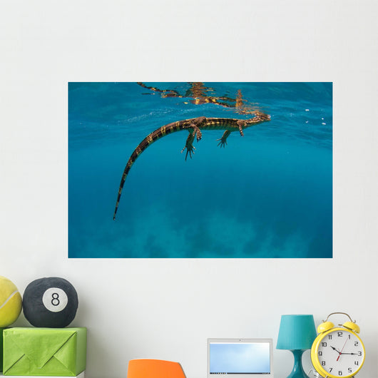 Water Monitor Swimming Sogod Wall Decal Design 2
