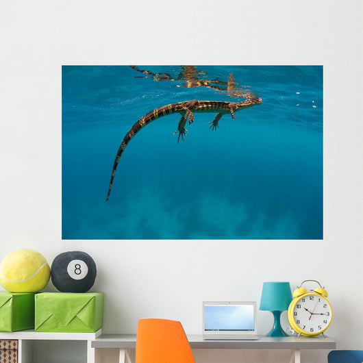 Water Monitor Swimming Sogod Wall Decal Design 2