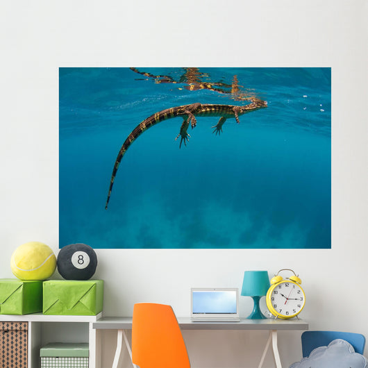 Water Monitor Swimming Sogod Wall Decal Design 2