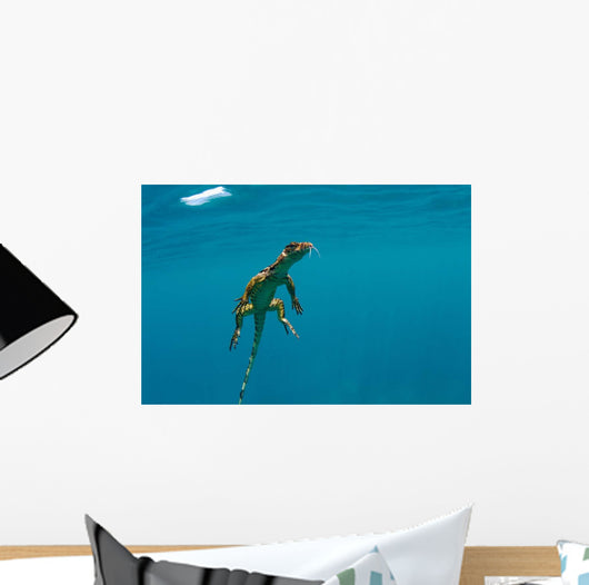 Water Monitor Swimming Sogod Wall Decal Design 1