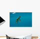 Water Monitor Swimming Sogod Wall Decal Design 1