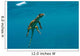 Water Monitor Swimming Sogod Wall Decal Design 1