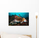 Pharaoh Cuttlefish Mating Behavior Wall Decal Design 3