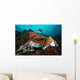 Pharaoh Cuttlefish Mating Behavior Wall Decal Design 3