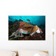 Pharaoh Cuttlefish Mating Behavior Wall Decal Design 3