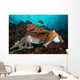 Pharaoh Cuttlefish Mating Behavior Wall Decal Design 3