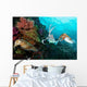 Pharaoh Cuttlefish Mating Behavior Wall Decal Design 2