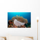 Anemone and Pink Anemonefish Wall Decal