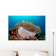 Anemone and Pink Anemonefish Wall Decal
