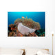 Anemone and Pink Anemonefish Wall Decal