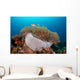 Anemone and Pink Anemonefish Wall Decal
