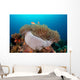 Anemone and Pink Anemonefish Wall Decal