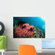 Healthy Corals Shallows Samal Wall Decal