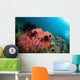 Healthy Corals Shallows Samal Wall Decal