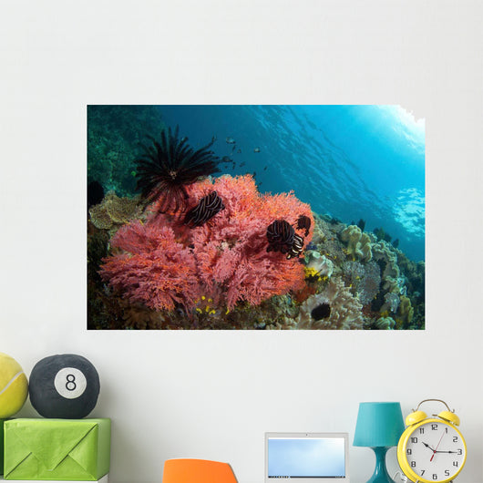 Healthy Corals Shallows Samal Wall Decal