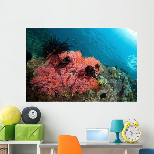 Healthy Corals Shallows Samal Wall Decal