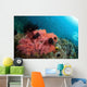 Healthy Corals Shallows Samal Wall Decal