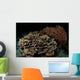 Reef Night Apo Island Wall Decal