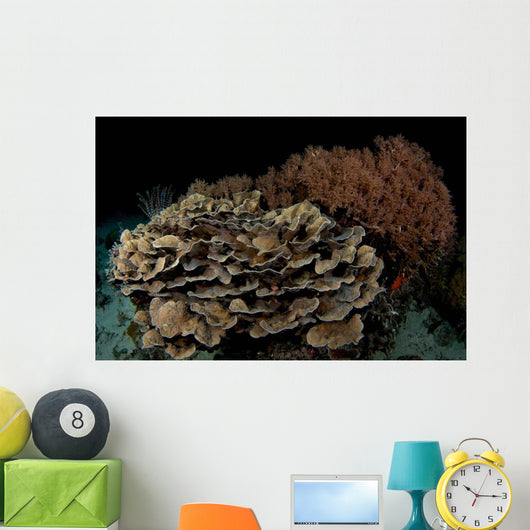 Reef Night Apo Island Wall Decal