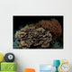 Reef Night Apo Island Wall Decal