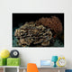 Reef Night Apo Island Wall Decal