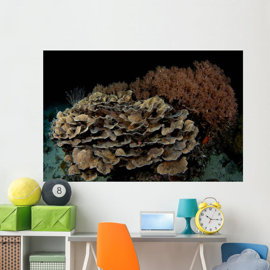 Reef Night Apo Island Wall Decal