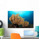 Beautiful Sea Fan Silliman Wall Decal