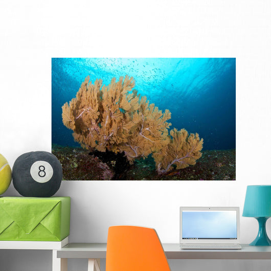 Beautiful Sea Fan Silliman Wall Decal